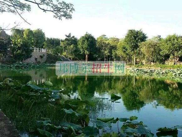 廣西經濟職業學院2016年招生簡章