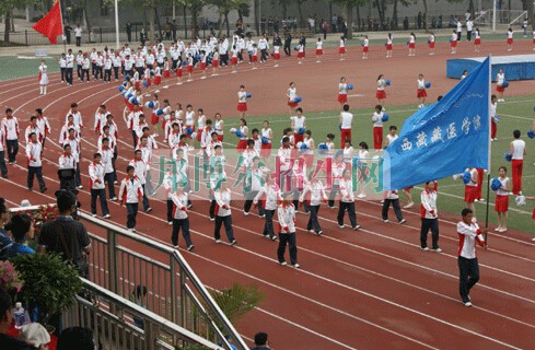 西藏藏醫學院