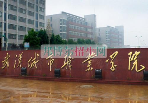 武漢城市職業(yè)學院