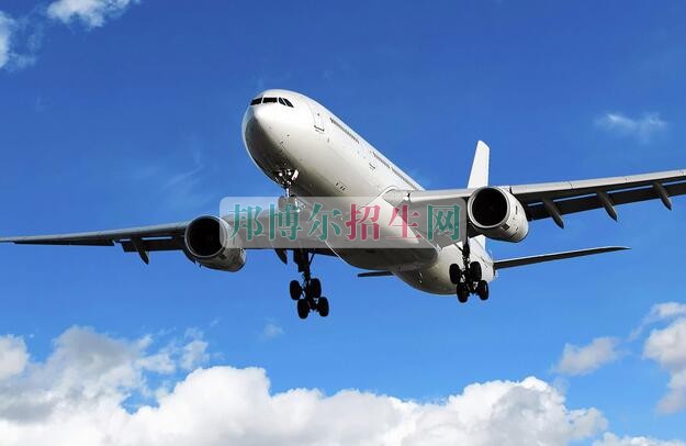 高中畢業讀航空服務
