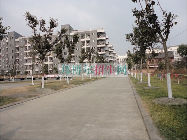 高中沒(méi)畢業(yè)可以學(xué)海乘海員嗎