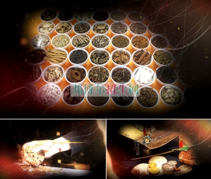 哪個中醫學學校好