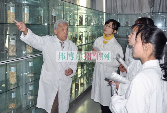 女生適合中醫學嗎