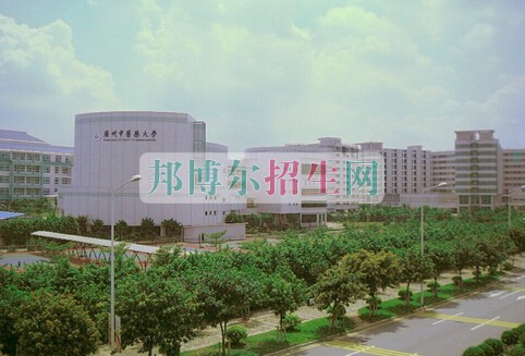 初中畢業可以去針灸推拿嗎