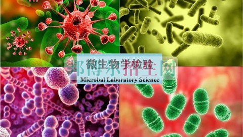 醫學檢驗專業怎么樣