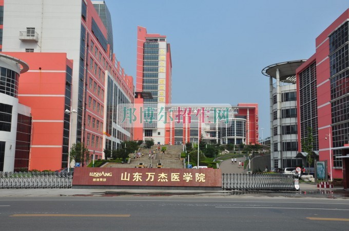 醫學美容多少錢