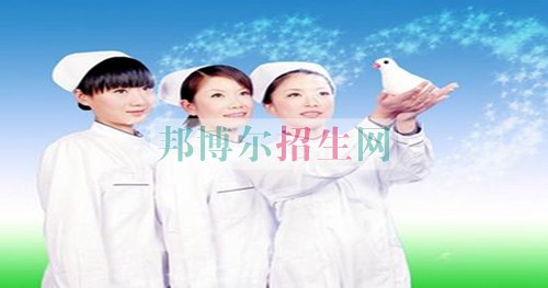 涉外護理最好的大專院校有哪些