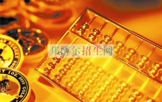 成都哪些大專(zhuān)學(xué)校會(huì)計(jì)好