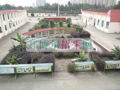 高中畢業生讀職業學校