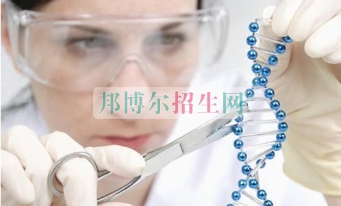 成都有藥劑專業的大專大學