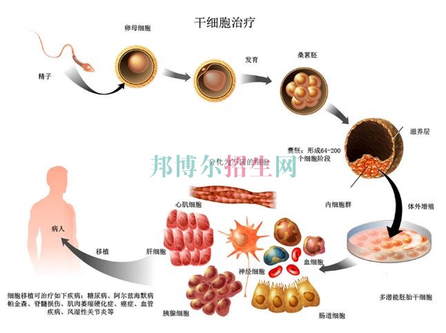 成都臨床醫學多少錢