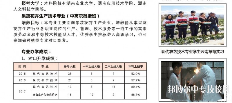 湖南桃花源高級技工學校電子信息專業群介紹
