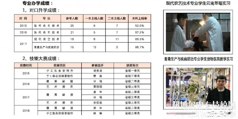 湖南桃花源高級技工學校電子信息專業群介紹