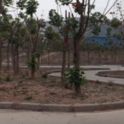 四川西昌交通學校