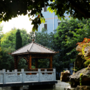 成都華大醫藥衛生學校
