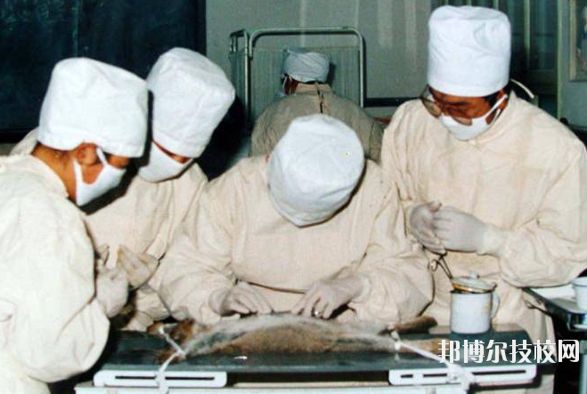 甘南州衛生學校2020年招生錄取分數線