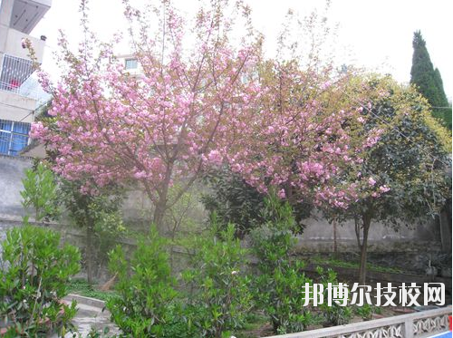 嵐皋縣中等職業技術學校2020年招生辦聯系電話