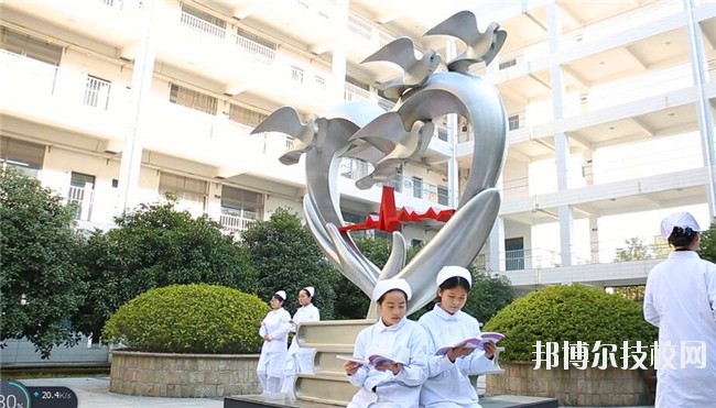 湖州中等衛生專業學校2020年招生錄取分數線
