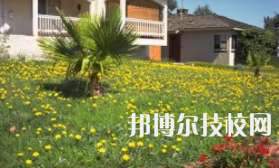 同學們需要依據(jù)自己所了解的情況來選擇學校，那么這也決定看同學們需要去了解這些學校的招生簡章，以便可以清楚的了解學校信息。下面就由小編給同學們介紹的有關(guān)于蘭州園藝學校招生簡章以及相關(guān)情況，以供大家參考了解。  蘭州園藝學校層次：中專  蘭州園藝學校性質(zhì)：公辦  蘭州園藝學校地址：蘭州市西固區(qū)范家坪  蘭州園藝學校介紹 蘭州園藝學校是全省唯一一所園藝、設(shè)施園藝、園林花卉、生態(tài)環(huán)境保護、建筑裝飾、旅游服務(wù)管理、計算機網(wǎng)絡(luò)技術(shù)、古建筑油漆彩畫等專業(yè)為一體的國辦全日制普通中等專業(yè)學校。  學校地處全省政治經(jīng)濟文化中心蘭州市,占地面積8萬平方米。有各類教學實驗室14個，擁有圖書館、閱覽室、組培室、微機室、語音室、電教室、校園網(wǎng)等各類教學設(shè)施。校園環(huán)境幽靜、空氣清新、規(guī)劃科學、設(shè)計獨特。校園內(nèi)溫熱帶花卉品種齊全，三季有花，四季常青，教學生活設(shè)施齊全，師資力量雄厚校風優(yōu)良。學校在珠海、深圳、上海、昆明、蘭州和平牡丹園等地有多處實習基地。學校以獨特的專業(yè)設(shè)置，超長的市場預(yù)測和嚴格的管理，為社會培養(yǎng)了大批實用型中等專業(yè)人才，畢業(yè)生就業(yè)面積廣，就業(yè)率高。  了解了蘭州園藝學校的信息后，就知道簡章也是可以用來選擇學校的。以上就是小編給大家整理的蘭州園藝學校招生簡章，想要了解更多有關(guān)于學校信息的同學們是可以直接咨詢了解邦博爾相關(guān)網(wǎng)站。