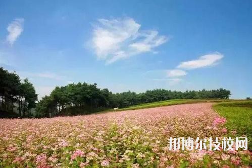 畢節七星關中等職業學校怎么樣、好不好