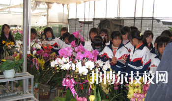 臨夏農業學校2020年招生錄取分數線