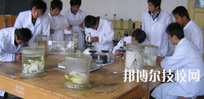 臨夏農(nóng)業(yè)學(xué)校2020年學(xué)費、收費多少