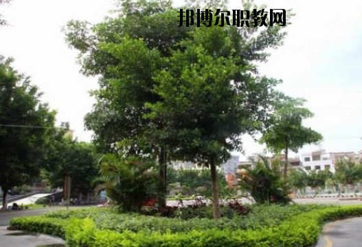羅定中等職業(yè)技術學校2020年報名條件、招生要求、招生對象