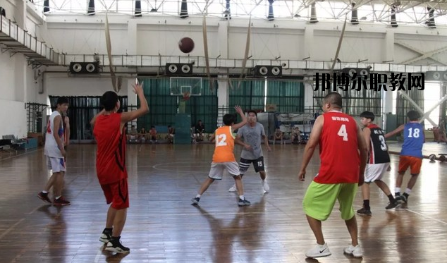 陜西青少年體育運動學校網站網址 
