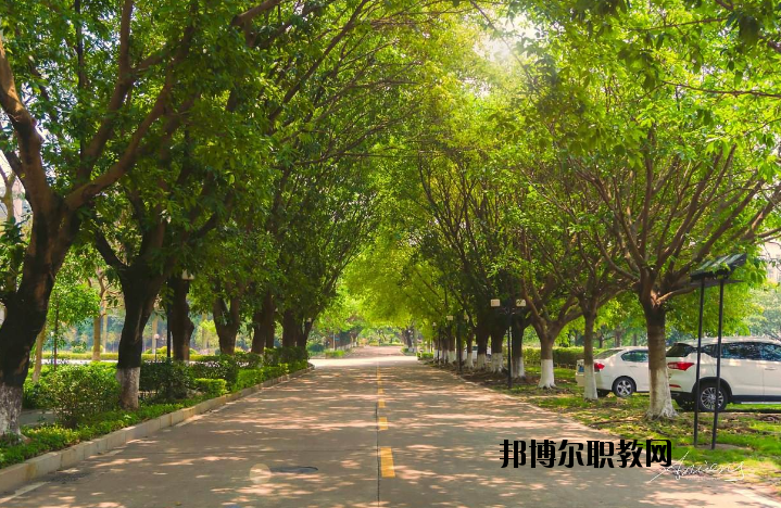 河南團校2021年報名條件、招生要求、招生對象