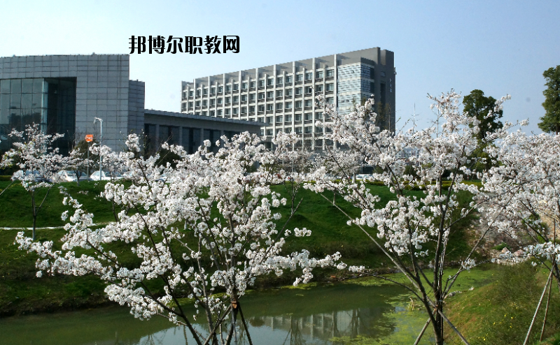 中國(guó)藥科大學(xué)2020年報(bào)名條件、招生要求、招生對(duì)象