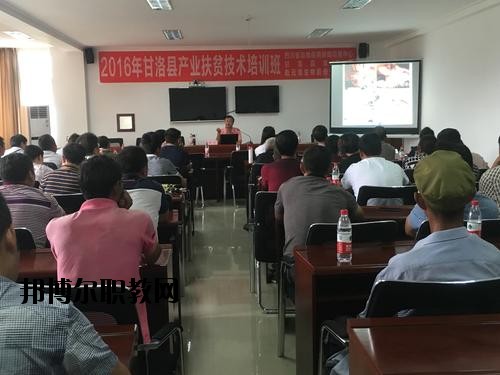 甘洛職業(yè)技術(shù)學(xué)校2020年招生辦聯(lián)系電話(huà)