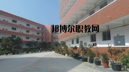 武都職業(yè)中學網(wǎng)站網(wǎng)址 