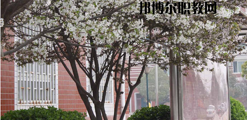 鄭州財經技師學院2021年有哪些專業