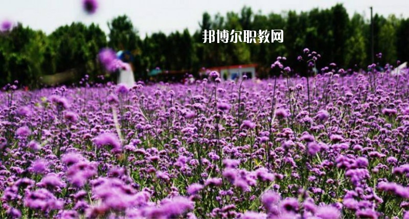 鄭州綠野科技中等專業學校2021年招生辦聯系電話