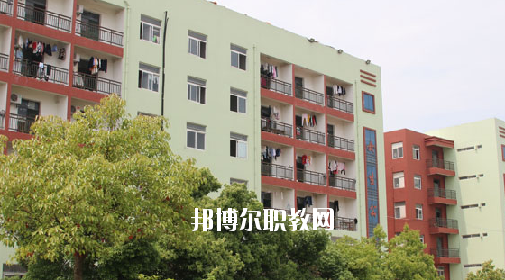 合肥騰飛學校2020年有哪些專業