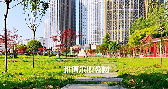合肥飛躍學(xué)校2020年報(bào)名條件、招生要求、招生對象 