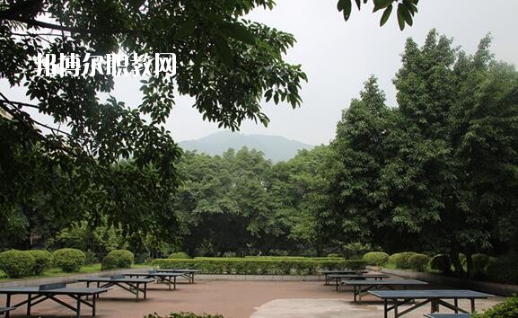 重慶2020年初中生可以上的衛校