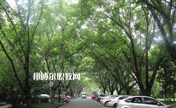 重慶2021年中專(zhuān)學(xué)校可以考大學(xué)嗎