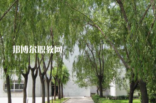 新疆喀什地區衛生學校2021年報名條件、招生要求、招生對象