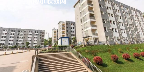 西安2022年中學畢業上什么