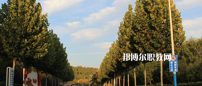 山東公路技師學院2022年網站網址
