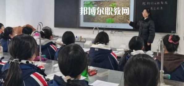 遂寧市船山職業技術學校2023年招生錄取分數線