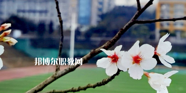 2023眉山技師學院招生計劃 招生人數是多少(附要求、條件、對象)