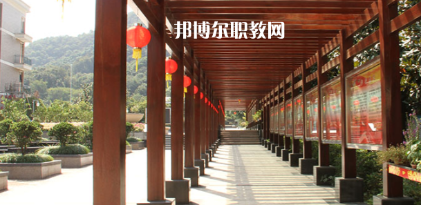 2023杭州市城西中學職高部招生計劃 招生人數是多少(附要求、條件、對象)