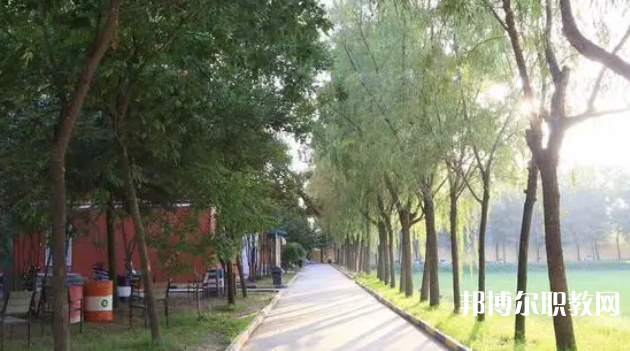 2023西安大中科技技工學校招生計劃 招生人數是多少(附要求、條件、對象)
