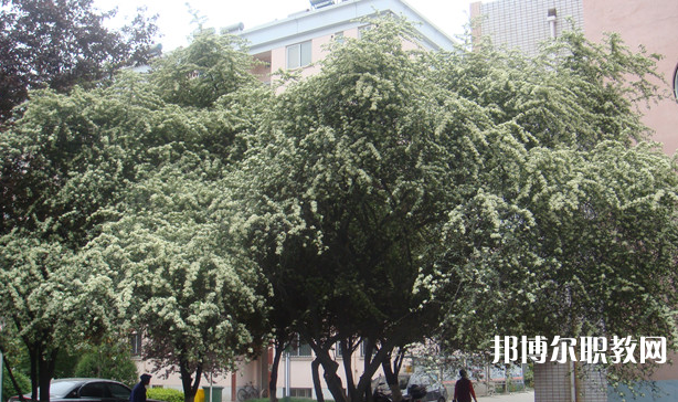 寶雞技師學(xué)院地址，乘車路線