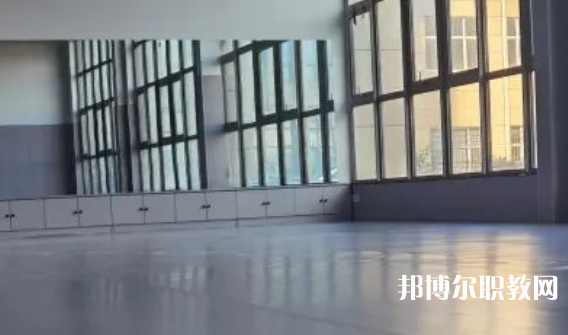 2023秦皇島市藝新舞蹈學校招生計劃 招生人數是多少(附要求、條件、對象)