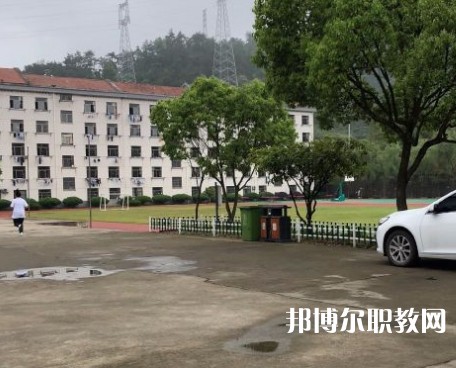 淳安育才學校2023年招生錄取分數線（2024參考）
