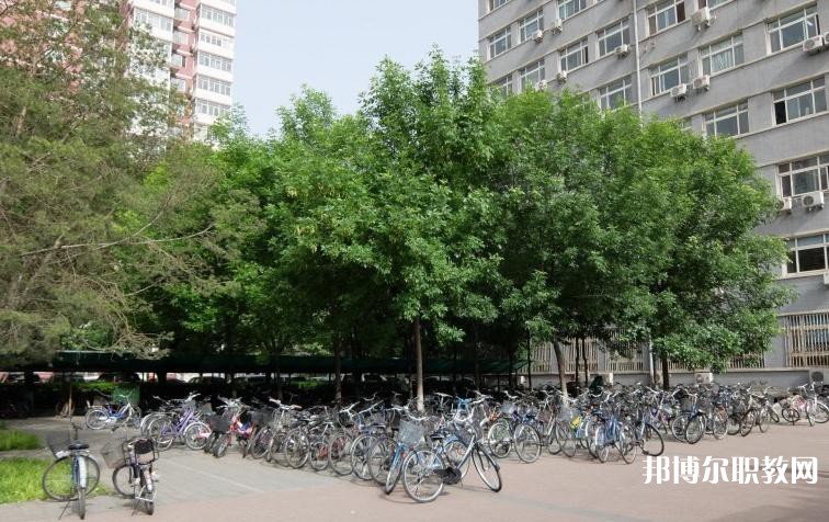 寶塔區(qū)職業(yè)教育中心2023年招生錄取分數線（2024參考）