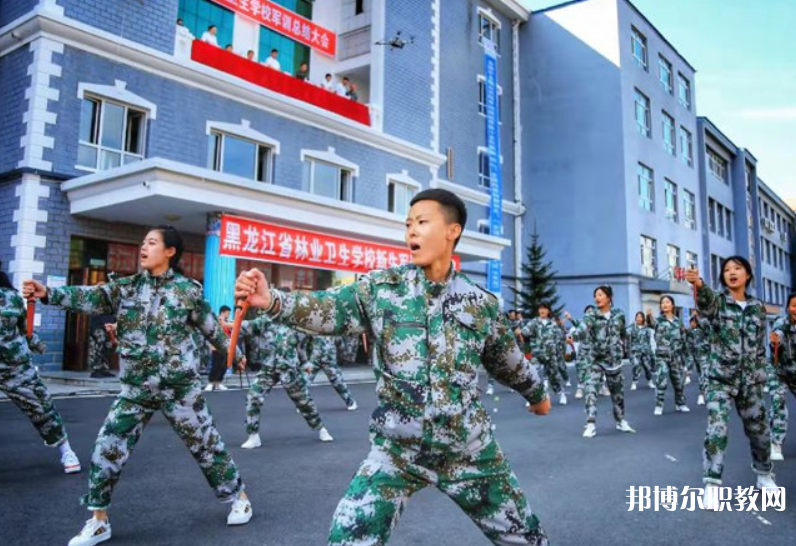 黑龍江省林業衛生學校2023年招生錄取分數線（2024參考）